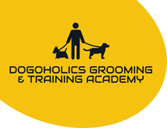 Dogoholics Dog Grooming Salon Hull